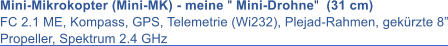 Mini-Mikrokopter (Mini-MK) - meine " Mini-Drohne"  (31 cm) FC 2.1 ME, Kompass, GPS, Telemetrie (Wi232), Plejad-Rahmen, gek�rzte 8� Propeller, Spektrum 2.4 GHz